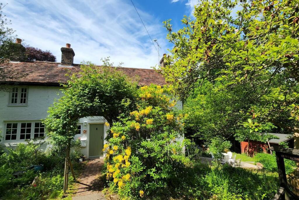 Ashdown Forest Character Cottage, 18Th Century Crowborough Bagian luar foto